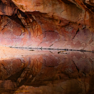 West Fork Reflections